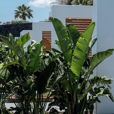 Numa Santorini Vila